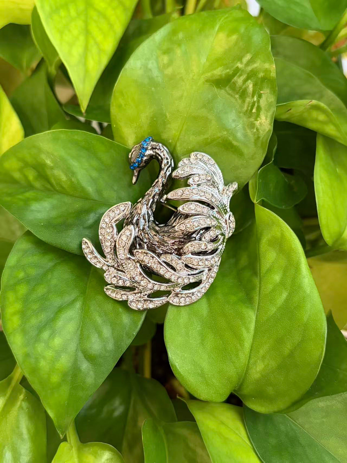 Crystal swan brooch pin displayed on green plant leaves