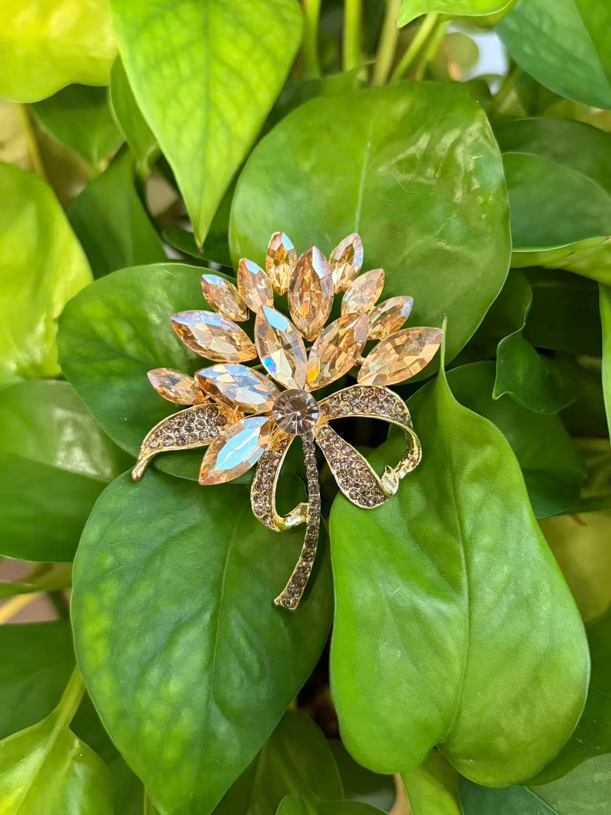 Crystal flower bow brooch pin displayed on green plant leaves