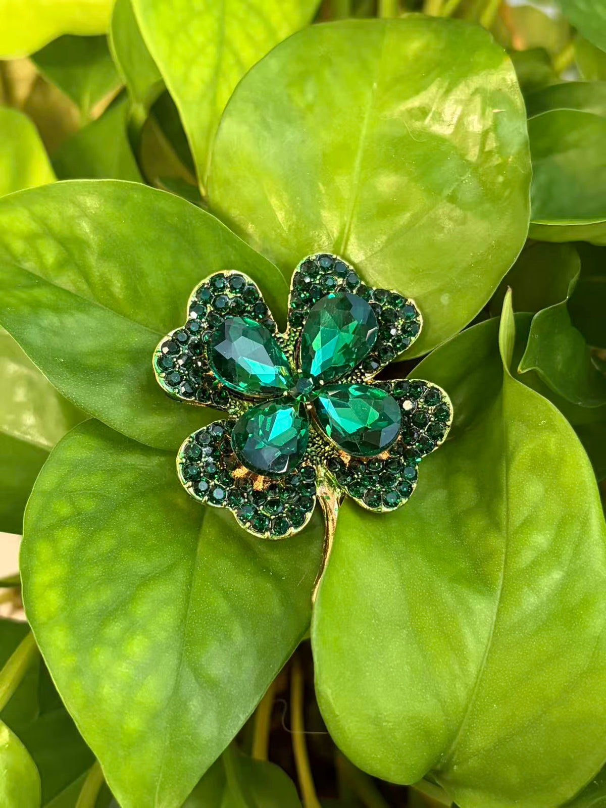 Crystal four leaf clover brooch pin displayed on green plant leaves