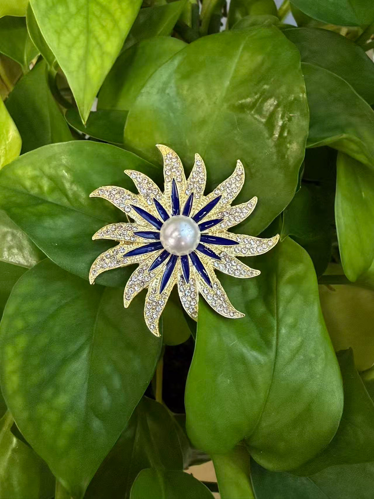 Crystal sunburst brooch pin displayed on green plant leaves